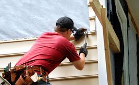 Best Siding Painting and Refinishing  in Rib Mountain, WI